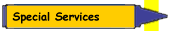Special Services Link